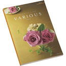 VARIOUS�q���@���A�X�r�g�����g