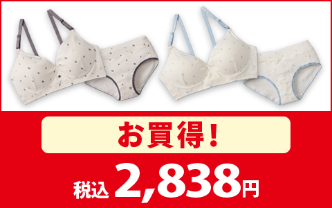 【お買得！】ノンワイヤーブラ＆ショーツ　各種　税込2,838円