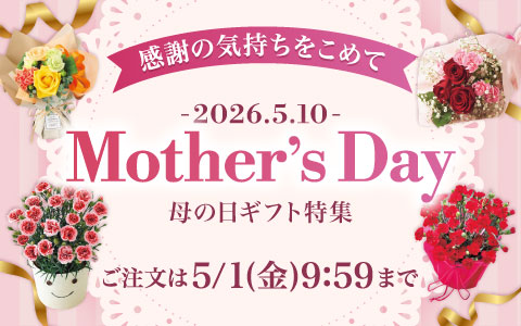 母の日ギフト特集～感謝の気持ちを込めて～