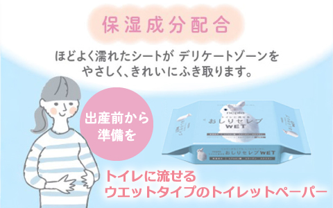 おしりセレブWET