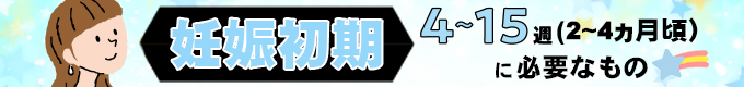 『妊娠初期　２～４ヵ月　（４～1５週）』に必要なもの
