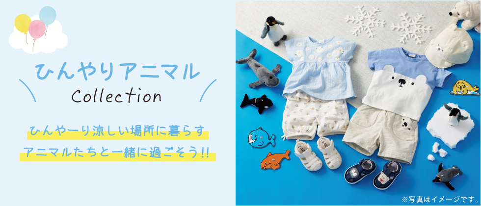 ひんやりコレクション