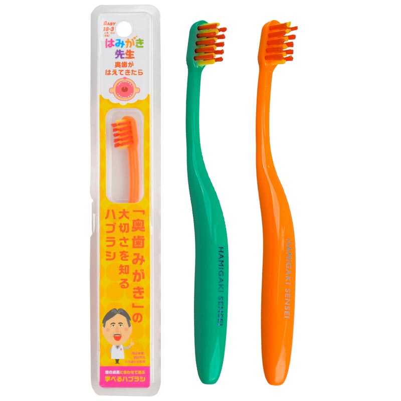 ݂͂搶 xr[ ͂Ă 玙pi xr[PAE􂽂Eӂpi uVEtX Ԃ{܁iAJ`z|j