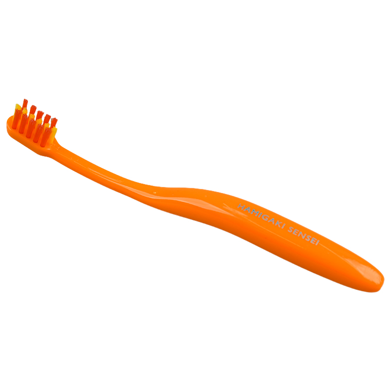 はみがき先生 ベビー 奥歯がはえてきたら