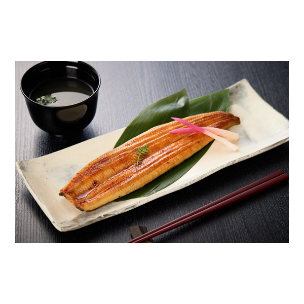 【夏ギフト】 綱正国産うなぎ蒲焼長焼5尾セット (内祝いギフト) 送料当社負担
