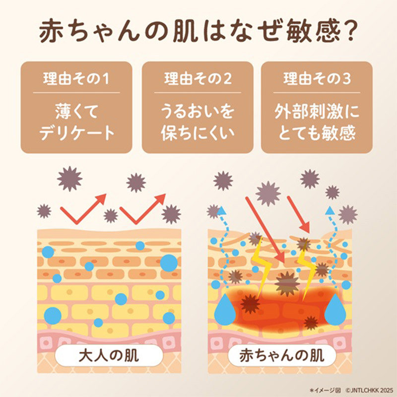 アビーノベビー デイリーモイスチャー フェイスクリーム 60g