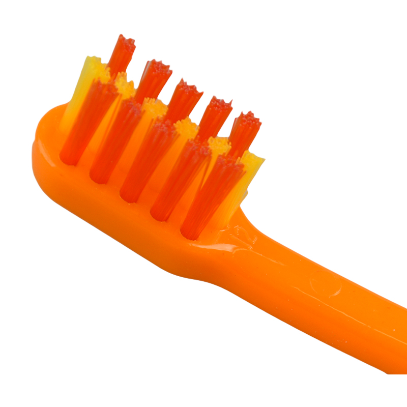 はみがき先生 ベビー 奥歯がはえてきたら