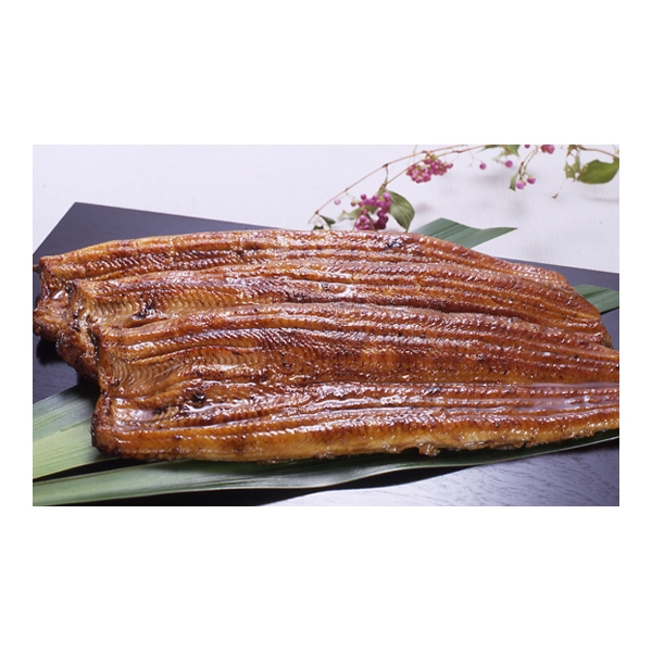 【夏ギフト】 綱正国産うなぎ蒲焼長焼5尾セット (内祝いギフト) 送料当社負担