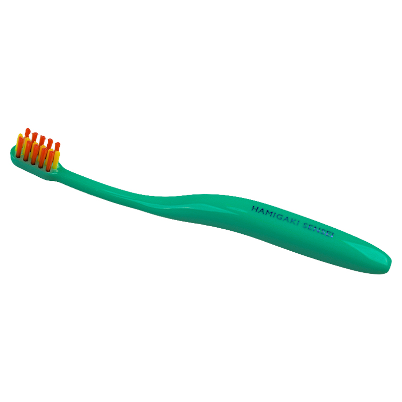 はみがき先生 ベビー 奥歯がはえてきたら