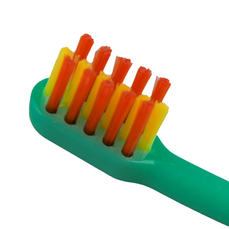 はみがき先生 ベビー 奥歯がはえてきたら