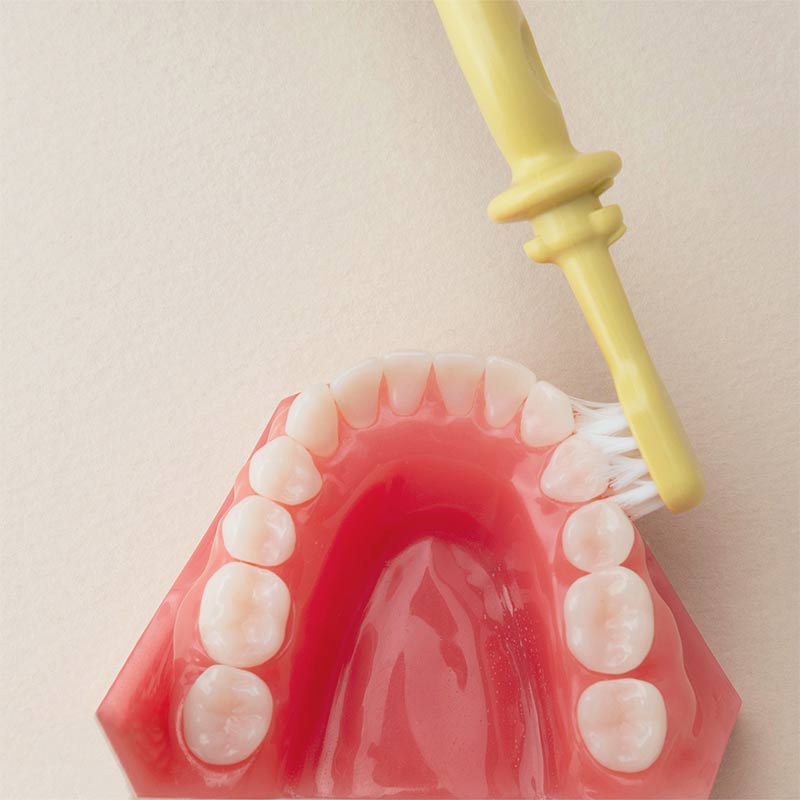 TLI(トライ) つよもち 乳歯ブラシSTEP3 イエロー