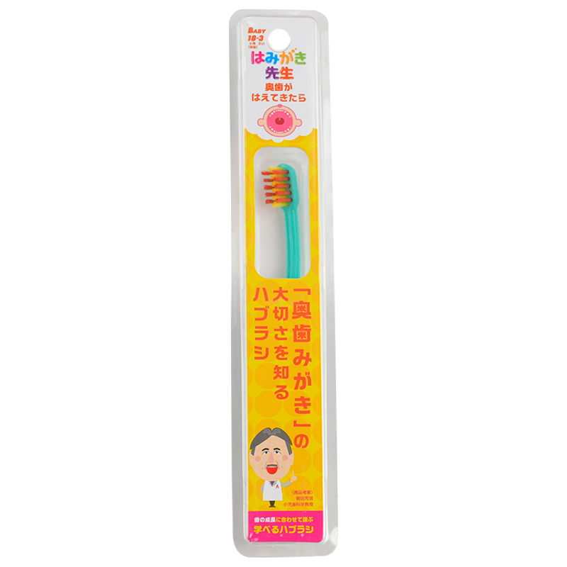 はみがき先生 ベビー 奥歯がはえてきたら