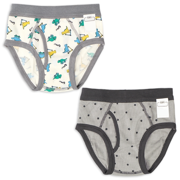 [キッズ]ブリーフ２枚組　恐竜柄　グレー グレー 110cm