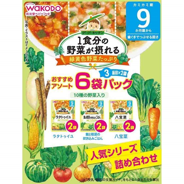 1食分の野菜 グーグーキッチン 6袋パック 9ヵ月