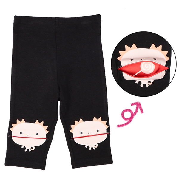 ySALEz[xr[]ςςMX 7 E[p[[p[ sN Exr[EqǂEO xr[i70`95cmjxr[{gXi̎qjԂ{܁iAJ`z|j