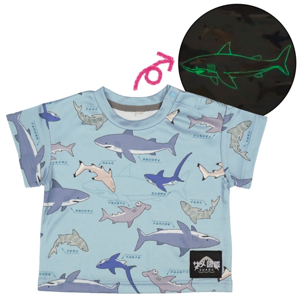 ySALEz[xr[]~TVc T} u[ Exr[EqǂEO xr[i70`95cmjxr[gbvXij̎qjԂ{܁iAJ`z|j