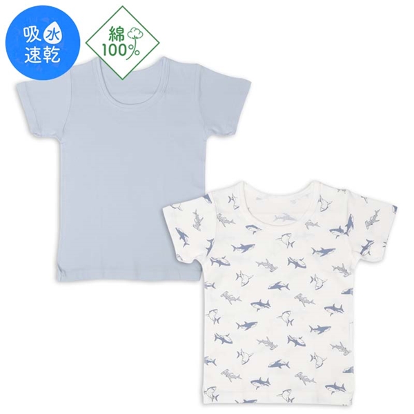 [LbY]܂ɂRbg  ێVc 2g T TbNX VExr[EqǂEpW}Eւ⒅ LbYiqǂjEpW}ECi[i100`120cmjLbY Ԃ{܁iAJ`z|j