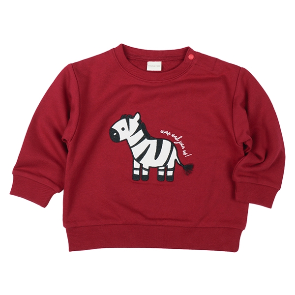 [xr[]g[i[ R[fC`[t bh Exr[EqǂEO xr[i70`95cmjxr[gbvXij̎qjԂ{܁iAJ`z|j