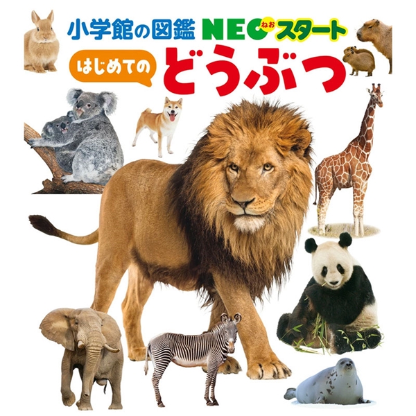 NEOスタート はじめての どうぶつ