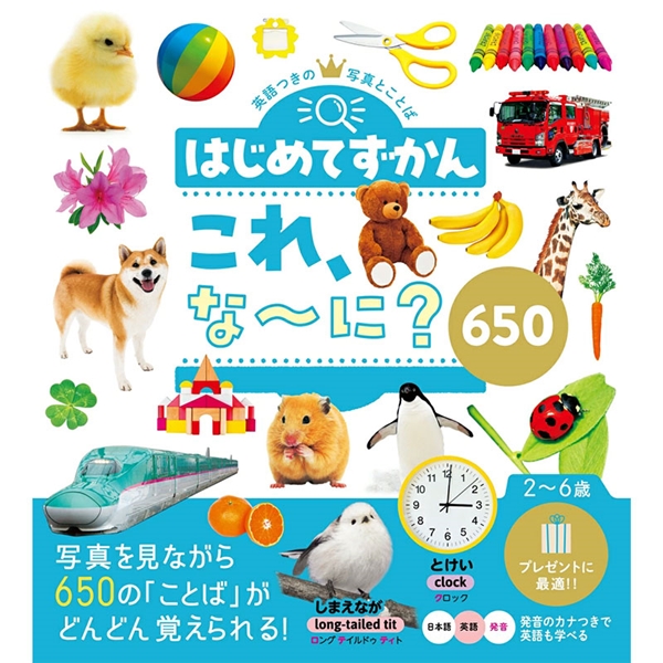 はじめてずかん これ、な～に？ 650