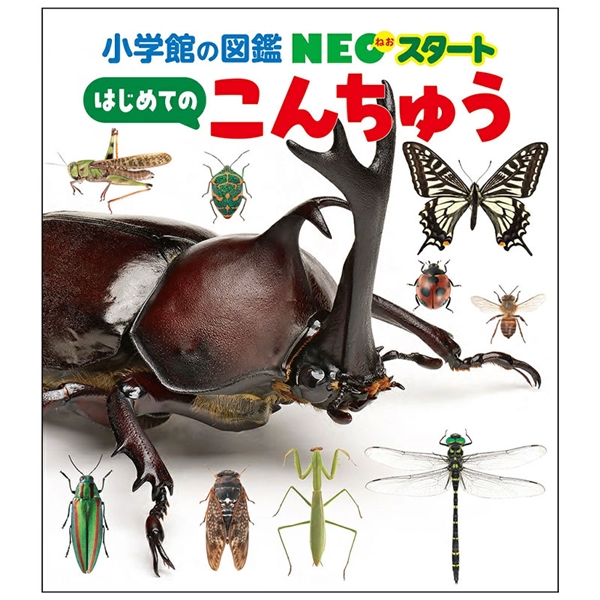 小学館の図鑑 NEOスタート はじめてのこんちゅう