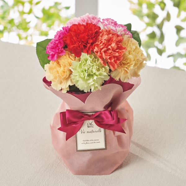 【母の日】そのまま飾れる　7色ミックスカーネーション　スタンディングブーケ (お祝いギフト) 送料込み