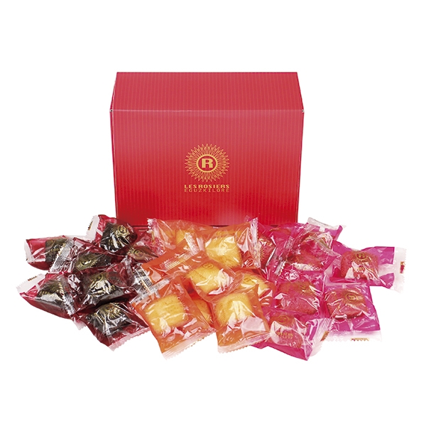 【冬ギフト】レ　ロジェ　エギュスキロール　銀座プチガトー21個 (内祝いギフト)