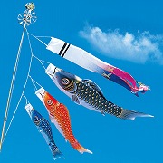 【送料無料】 鯉のぼり　1.5m「勇将」    57018F 五月人形