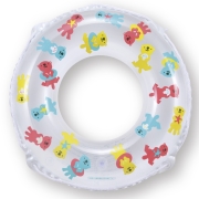 ラッコウキワ 55cm