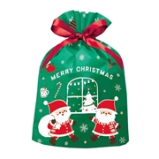 巾着 ワクワクサンタ グリーン 300