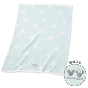 ディズニー メレンゲガーゼケット ミッキー＆ミニー ペパーミント