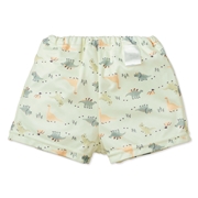 [ベビー]ベビースイムトランクス 恐竜