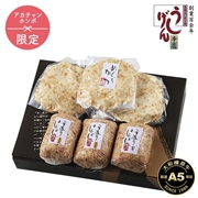 うし源本店 A5ランク黒毛和牛とモチ豚を使った贅沢ハンバーグとメンチカツ UG-HMB-04　(内祝いギフト) アカチャンホンポ限定