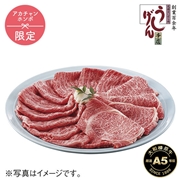 うし源本店 A5ランク大和榛原牛 すき焼き用霜降りもも肉600g　UG-STB1006　(内祝いギフト) 送料当社負担 アカチャンホンポ限定