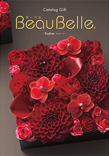 ボーベル アンディーブ