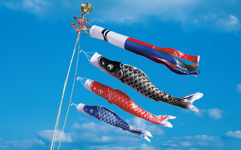鯉のぼり（こいのぼり）は立身出世のシンボル。