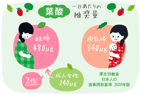 葉酸 一日当あたりの推奨量 妊婦480μg（成人女性240μgの2倍！）、授乳婦340μg 厚生労働省 日本人の食事摂取基準2020年版