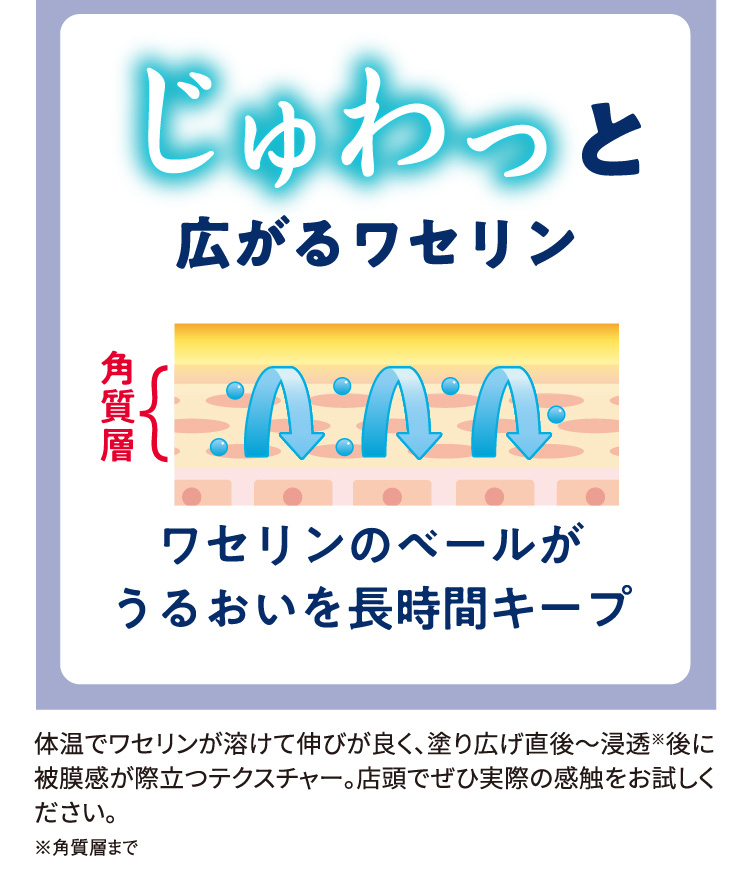 じゅわっと広がるワセリン ワセリンのベールがうるおいを長時間キープ（角質層） 体温でワセリンが溶けて伸びが良く、塗り広げ直後～浸透※後に被膜感が際立つテクスチャー。店頭でぜひ実際の感触をお試しください。※角質層まで